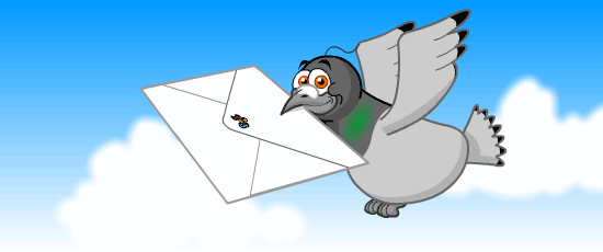 Pigeon Flying